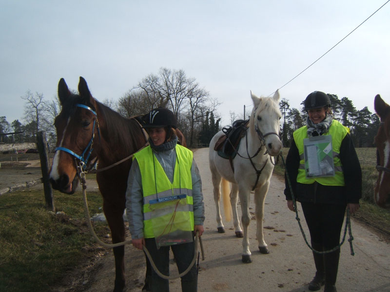 20090215_StAntoineAuberoche_TREC0394