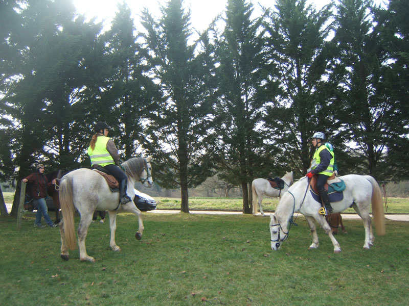 20090215_StAntoineAuberoche_TREC0419