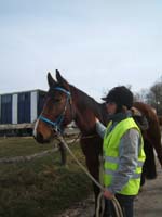 20090215_StAntoineAuberoche_TREC0041