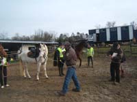 20090215_StAntoineAuberoche_TREC0046