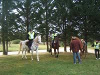 20090215_StAntoineAuberoche_TREC0091