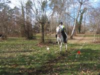 20090215_StAntoineAuberoche_TREC0136
