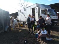 20090215_StAntoineAuberoche_TREC0186