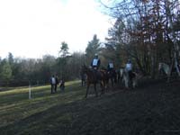20090215_StAntoineAuberoche_TREC0206