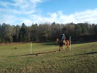 20090215_StAntoineAuberoche_TREC0221