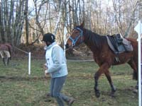 20090215_StAntoineAuberoche_TREC0266