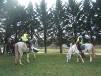 20090215_StAntoineAuberoche_TREC0419