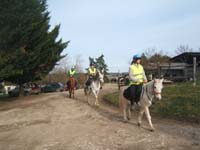 20090215_StAntoineAuberoche_TREC0422