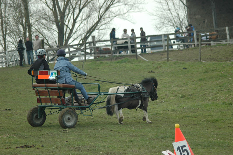 DSC_0265