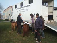 20080217_Marsale_Attelage_Jeunes_0016