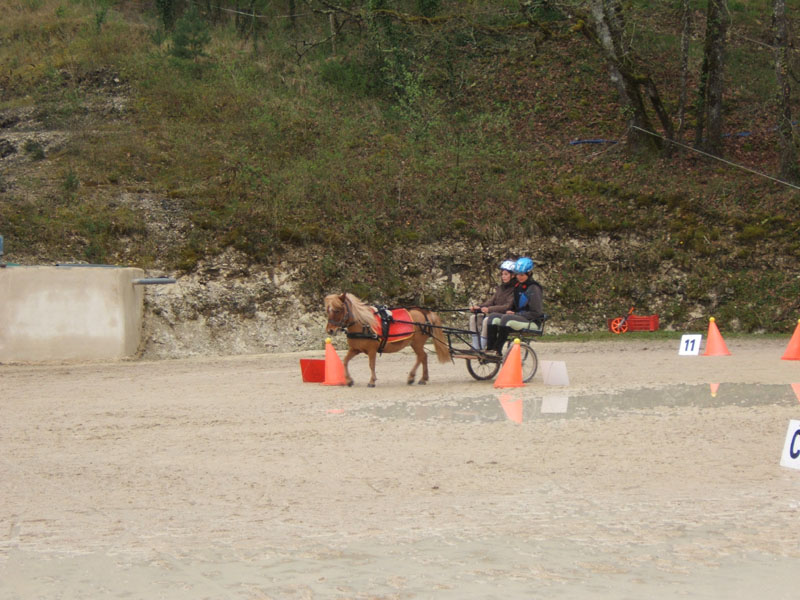 20090417_concoursEcuries_du_Rosier0008