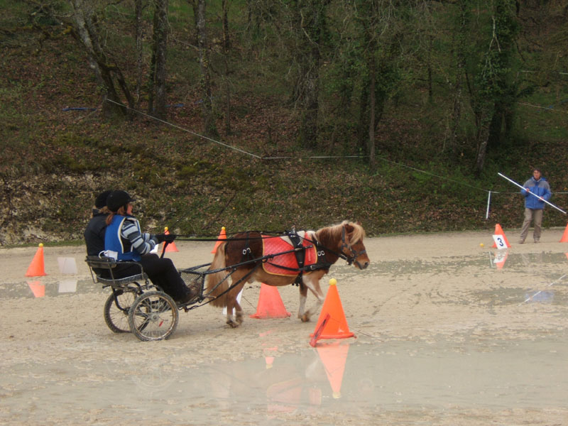 20090417_concoursEcuries_du_Rosier0035