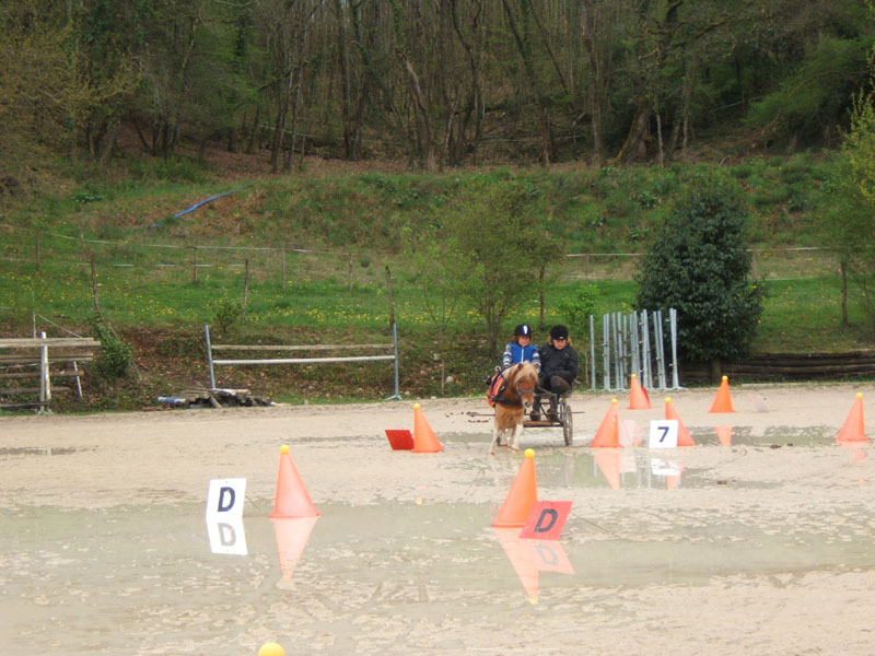 20090417_concoursEcuries_du_Rosier0044