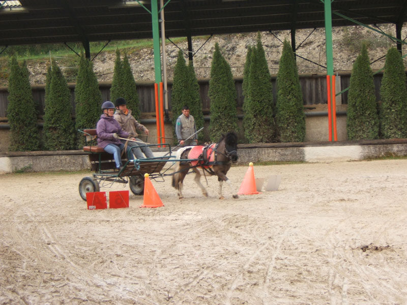 20090417_concoursEcuries_du_Rosier0064