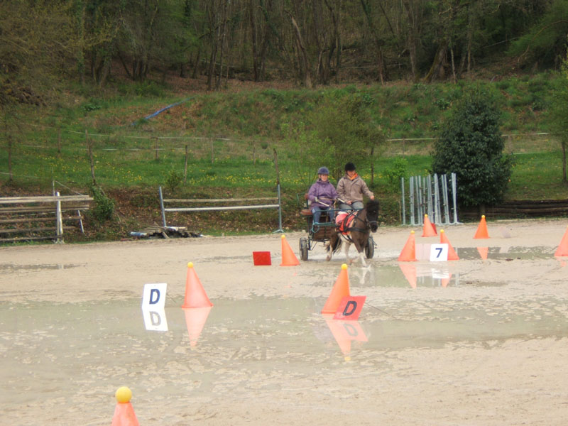 20090417_concoursEcuries_du_Rosier0075
