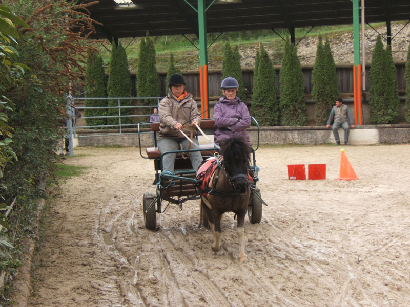 20090417_concoursEcuries_du_Rosier0081