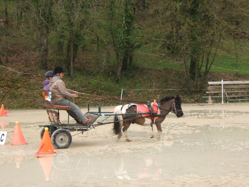 20090417_concoursEcuries_du_Rosier0092