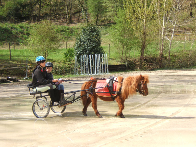 20090417_concoursEcuries_du_Rosier0159