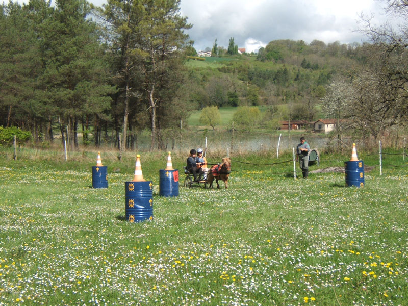 20090417_concoursEcuries_du_Rosier0174