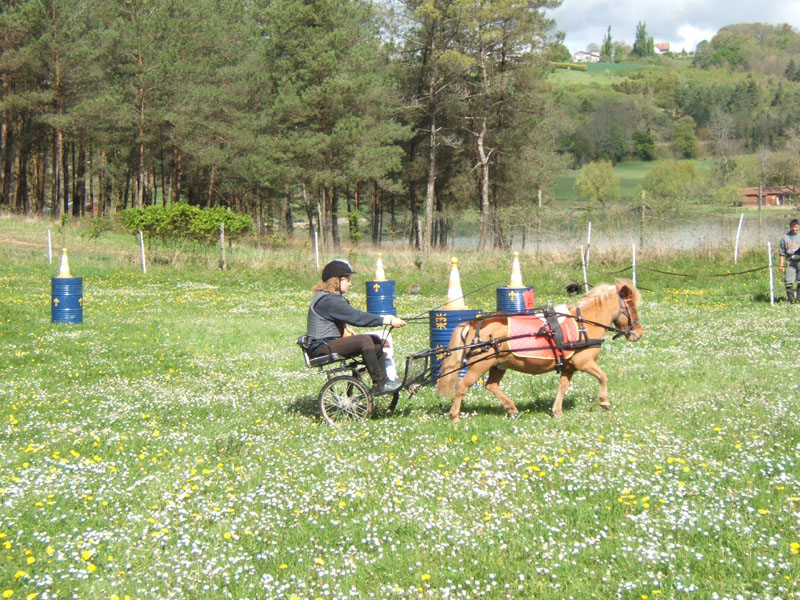 20090417_concoursEcuries_du_Rosier0177