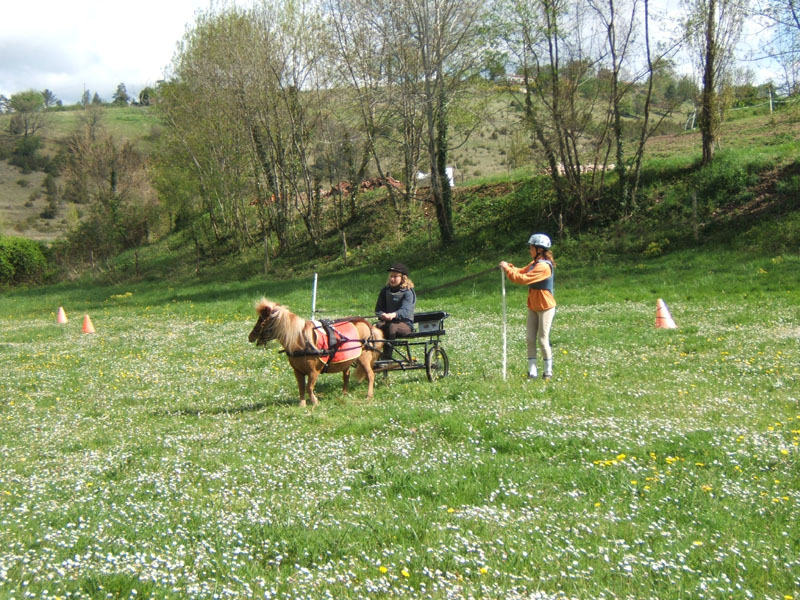 20090417_concoursEcuries_du_Rosier0180