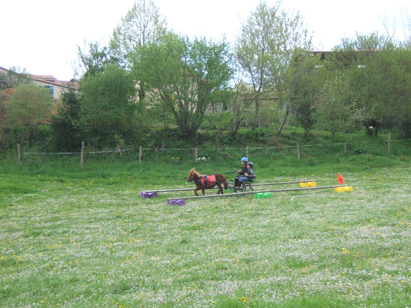 20090417_concoursEcuries_du_Rosier0186