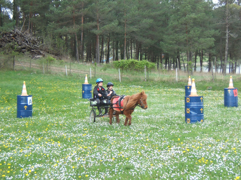 20090417_concoursEcuries_du_Rosier0195