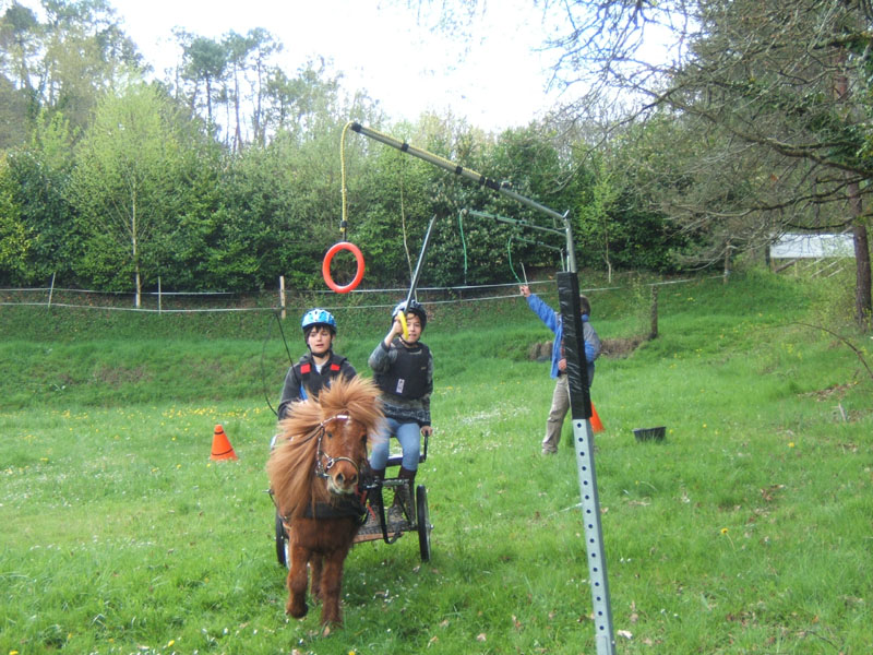 20090417_concoursEcuries_du_Rosier0203