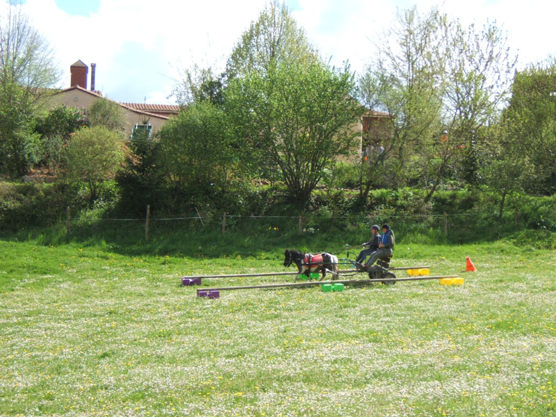20090417_concoursEcuries_du_Rosier0210
