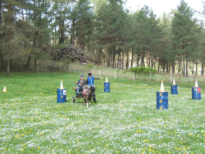 20090417_concoursEcuries_du_Rosier0216