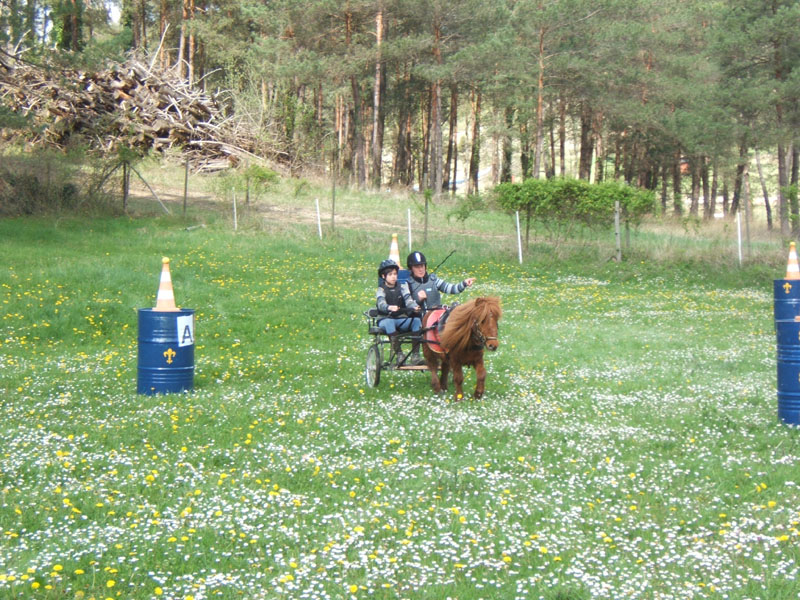 20090417_concoursEcuries_du_Rosier0239