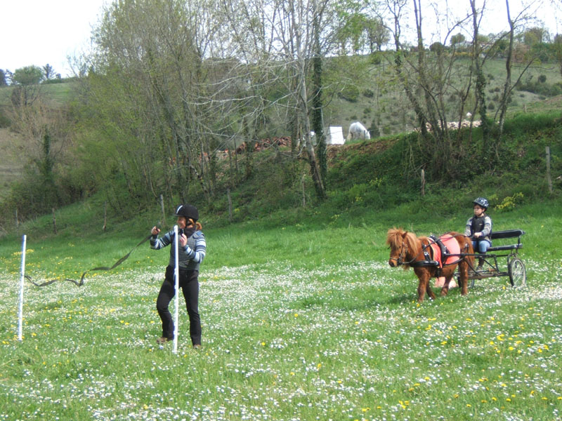 20090417_concoursEcuries_du_Rosier0242