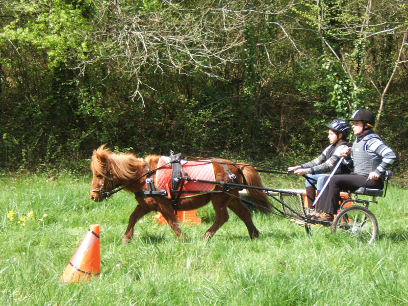 20090417_concoursEcuries_du_Rosier0248