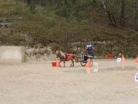 20090417_concoursEcuries_du_Rosier0008