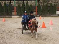20090417_concoursEcuries_du_Rosier0027