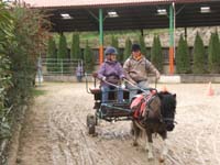20090417_concoursEcuries_du_Rosier0052