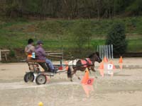 20090417_concoursEcuries_du_Rosier0066