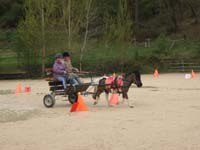 20090417_concoursEcuries_du_Rosier0076