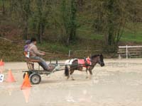 20090417_concoursEcuries_du_Rosier0092
