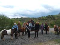 20090417_concoursEcuries_du_Rosier0114