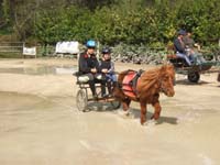 20090417_concoursEcuries_du_Rosier0156