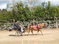20090417_concoursEcuries_du_Rosier0158