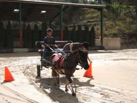 20090417_concoursEcuries_du_Rosier0164