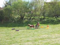 20090417_concoursEcuries_du_Rosier0168