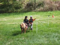 20090417_concoursEcuries_du_Rosier0171