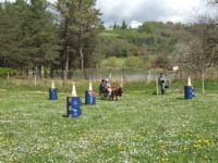 20090417_concoursEcuries_du_Rosier0174