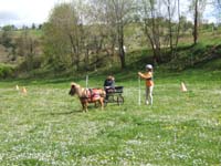 20090417_concoursEcuries_du_Rosier0180