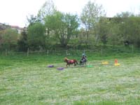 20090417_concoursEcuries_du_Rosier0186