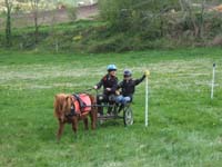 20090417_concoursEcuries_du_Rosier0189