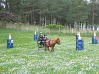 20090417_concoursEcuries_du_Rosier0195
